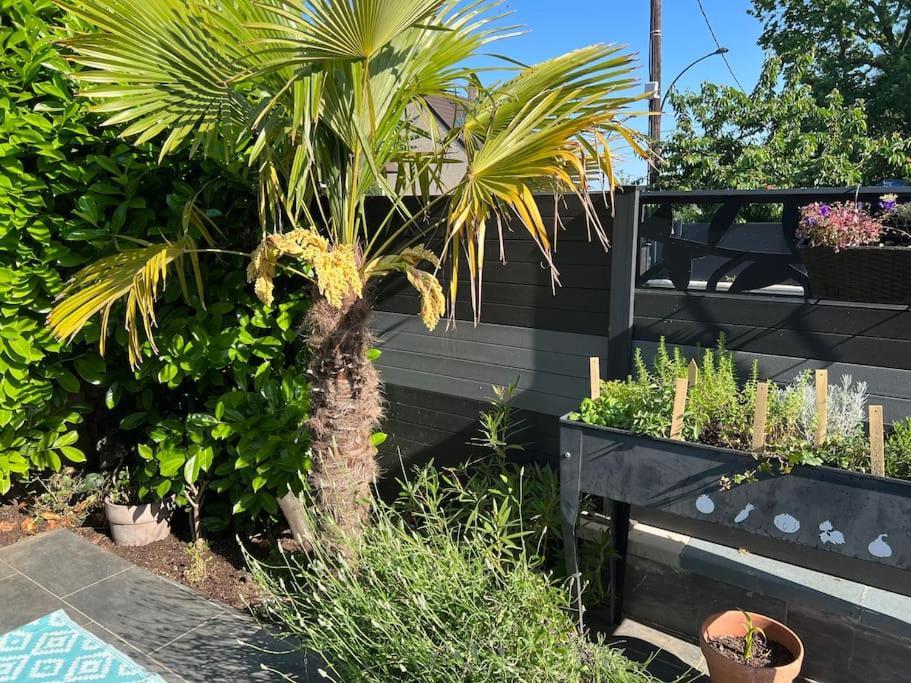 2 Joli Neuf Veranda D Ete Bords De Marne 5 Km Paris Appartement *